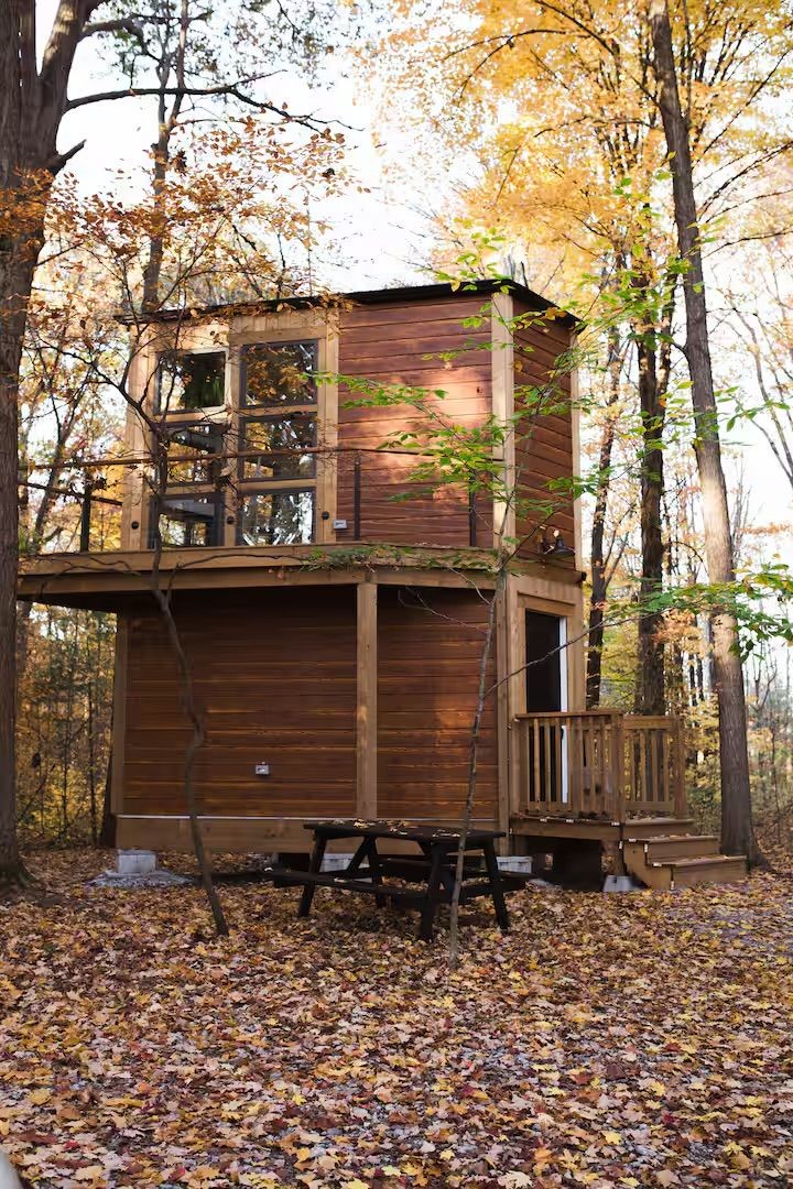 Tiny Cabin In The Woods